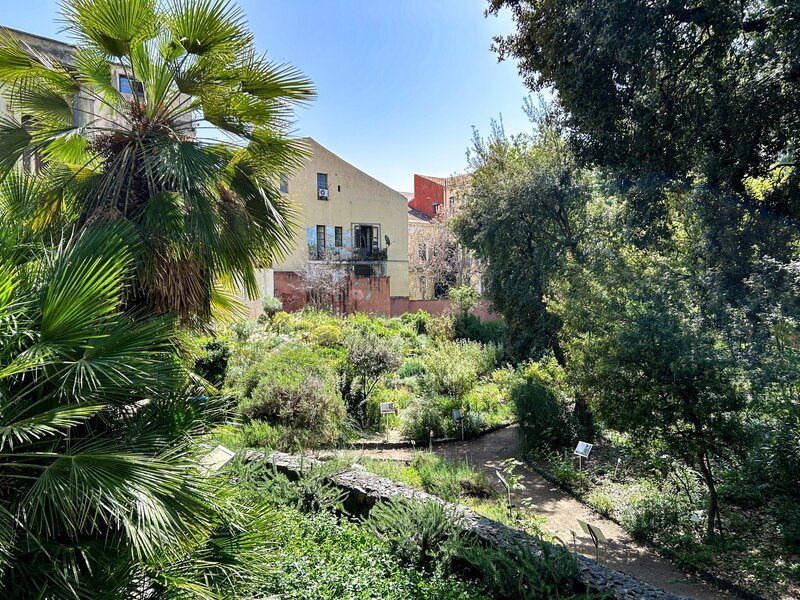 Botanische Garten der Universität von Catania. – Bild: ORF/​Ralph Huber-Blechinger
