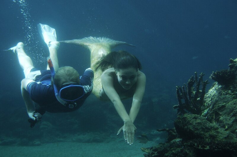 Cleo (Phoebe Tonkin, re.) und Lewis (Angus McLaren, li.) unter Wasser. Sie suchen nach geeigneten Ködern für Lewis Angel. – Bild: ZDF/​Jasin Boland