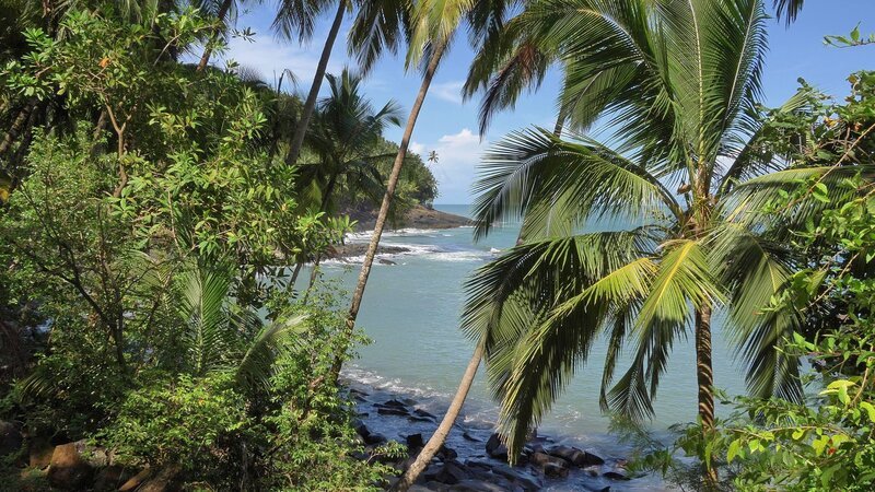 Französisch-Guayana: tropisches Paradies in Südamerika Küste – Bild: SRF/​Arte