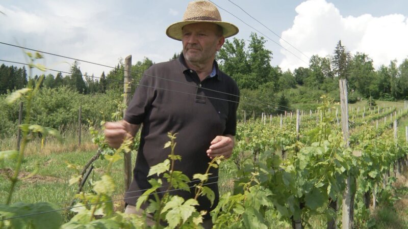 Hans Gritsch in his vineyard – Bild: Servus TV
