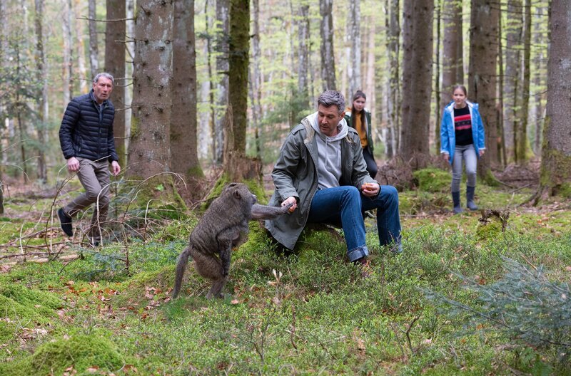 Eine entlaufene Paviandame stiftet Unruhe in Waldau. Wildtierexperte Kajo Winter (Jochen Schropp, Mitte) entschärft die Situation. Leo (Phillis Lara Lau), Lucy (Paulina Schnurrer, re.) und Philipp (Heikko Deutschmann, li.) staunen. – Bild: SWR/​Maria Wiesler