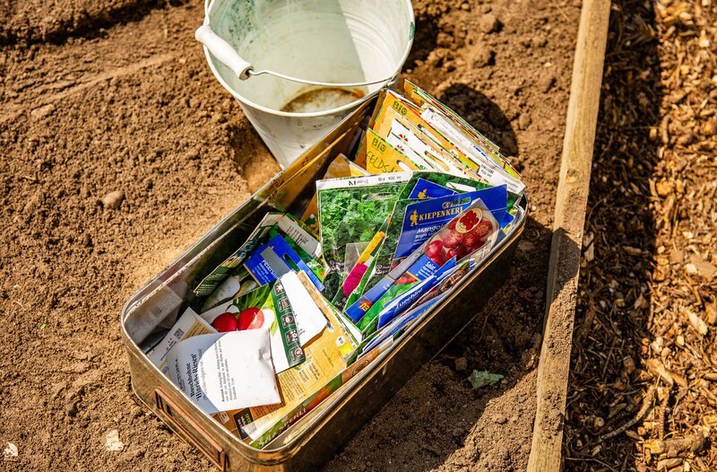 In Zukunft können Hobbygärtner nicht mehr alles pflanzen können, was ihnen gefällt. Ihre Gärten müssen sich verändern. Pflanzen, die Schatten spenden, gehören unbedingt in den Garten. Dazu einheimische robuste Arten, die an die neuen klimatischen Bedingungen angepasst sind. – Bild: NDR