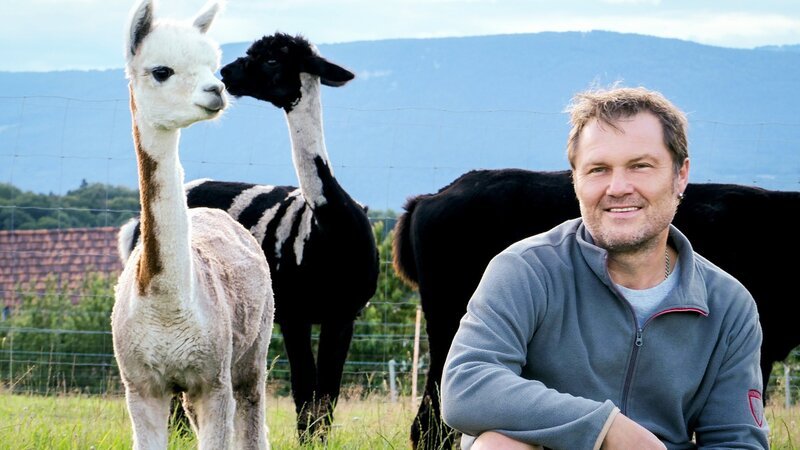 Mitch und Alpaka «Isa» – Bild: SRF/​RTS
