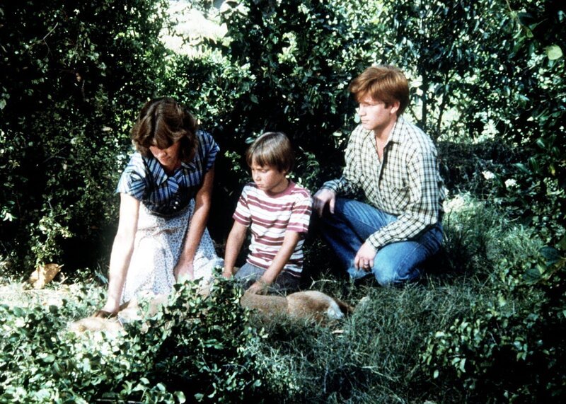 Mary Ellen (Judy Norton-Taylor, l.), der kleine Jeffrey (Keith Mitchell, M.) und ihr Bruder Ben (Eric Scott, r.) finden Reckless, den alten Hund der Waltons, tot im Wald. – Bild: Sat.1 Gold