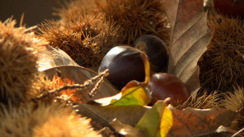 . – Bild: Marco Polo TV . – Bild: Marco Polo TV