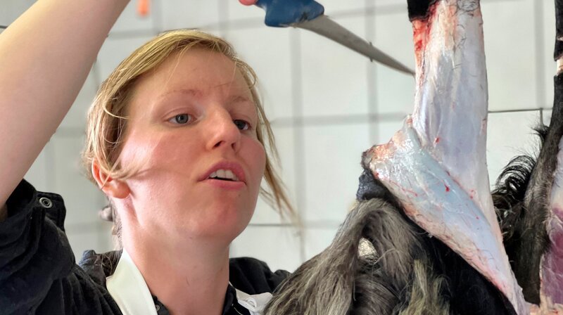 Katharina Jaeschke hat nach dem Abitur ihren Agrarbetriebswirt in Güstrow gemacht und dann gemeinsam mit ihrer Mutter eine ehemalige Straußenfarm bei Rostock gekauft. Nun baut sie sich ihren eigenen Schaf- und Ziegenhof auf. – Bild: NDR/​Matthias Vogler