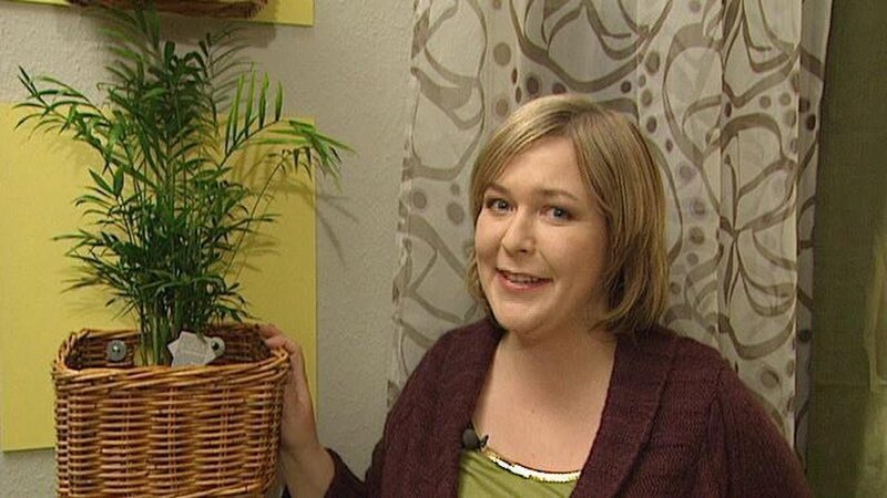 Bild: RTL Bild: RTL