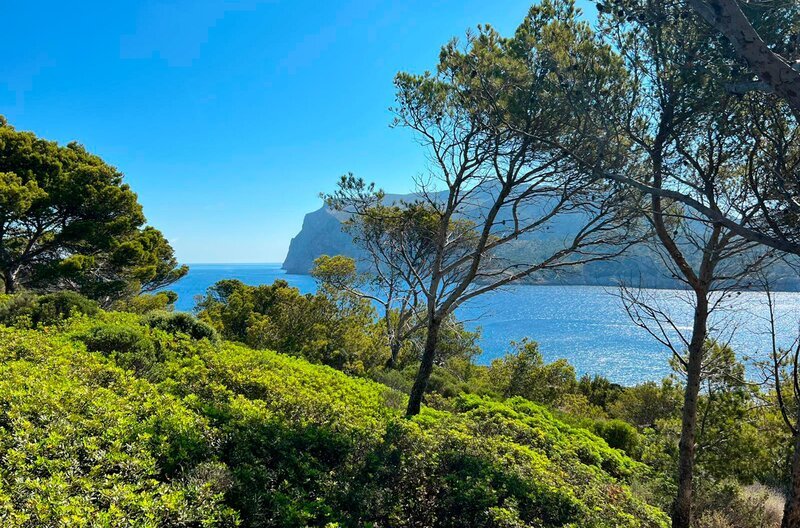 Mallorca ist für viele aus Baden-Württemberg Ausgewanderte eine zweite Heimat. – Bild: SWR