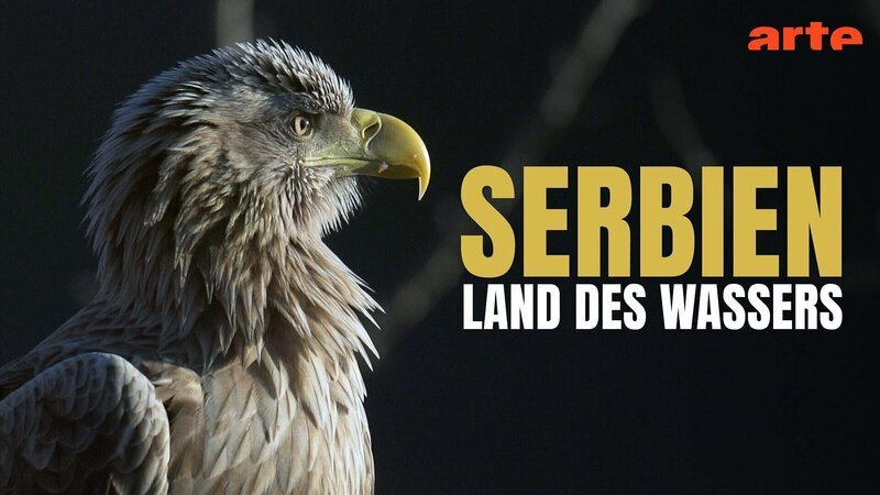  – Bild: Arte
