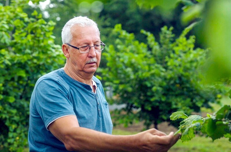 Bauer Frank Sallach hat seine Produktion auf Haselnüsse umgestellt. – Bild: MDR/​Jan Mammey