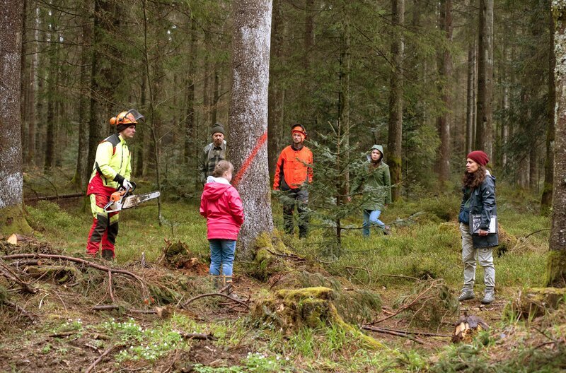 Die Holzfäller machen sich an die Arbeit, aber Toni (Anna Malner, vorn mi.) ist dagegen, weil sie den Specht retten will, der in einem der vom Befall betroffenen Bäume lebt. Dina (Maya Haddad) ist hin- und hergerissen, was sie tun soll. Im Hintergrund: Vinzenz (Michael Sideris) – Bild: ARD/​Maria Wiesler