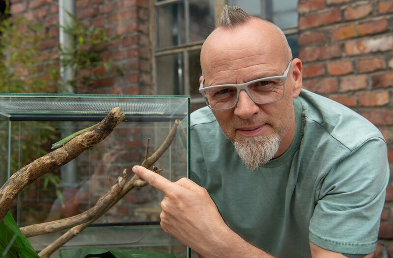 Evolution kennen wir als etwas, das sich über Millionen von Jahren vollzieht. Das muss allerdings nicht sein. Thomas D wirft den Blick auf eine Saumfingereidechse und zeigt, wie die Art in nur zwei Generationen ihr Aussehen dauerhaft veränderte und warum – bei „Wissen vor acht – Natur“. – Bild: ARD/​Melanie Grande
