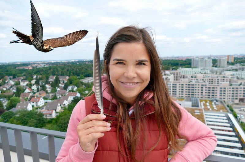 Städte sind vielfältige Lebensräume. Anna erfährt, dass mitten in München Wanderfalken leben. – Bild: BR/​Text + Bild Medienproduktion