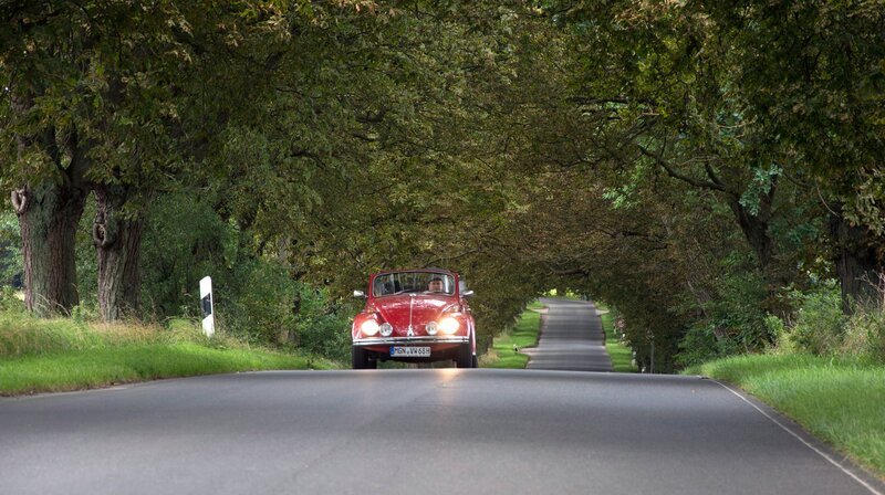 Axel Bulthaupt im Auto. – Bild: MDR