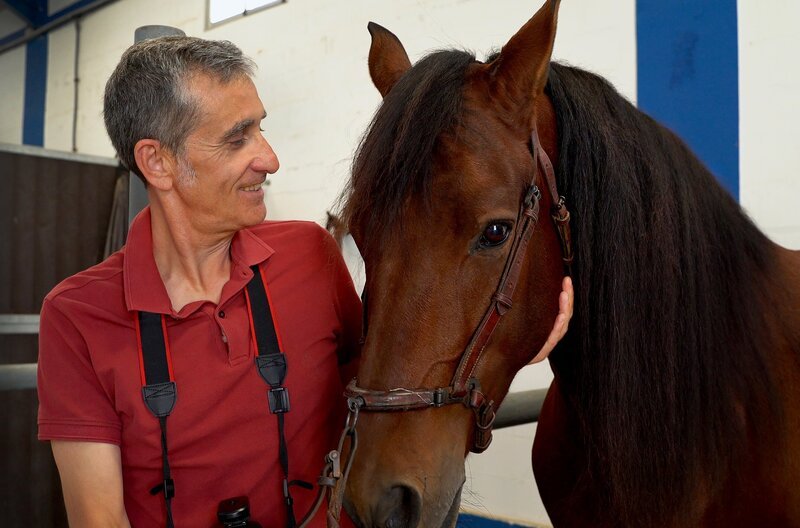 Miguel Vallinas mit einem Pferd des Zuchtgestüts „La Ventanilla“ in Medina del Campo, Spanien – Bild: SWR/​Roser Corella