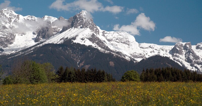 Wiese am Buchberg. – Bild: ORF III Wiese am Buchberg. – Bild: ORF III