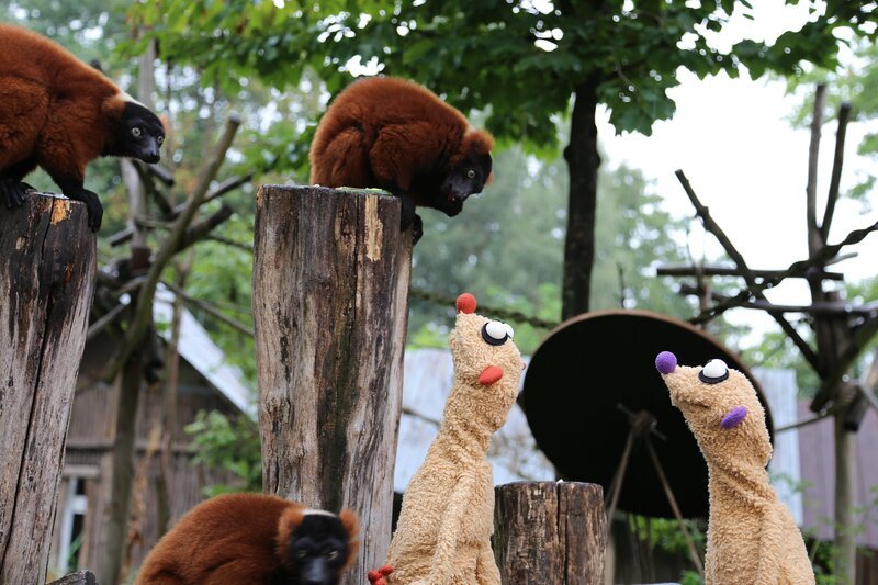 Jan & Henry ermitteln im Zoo. – Bild: bigSmile/​NDR
