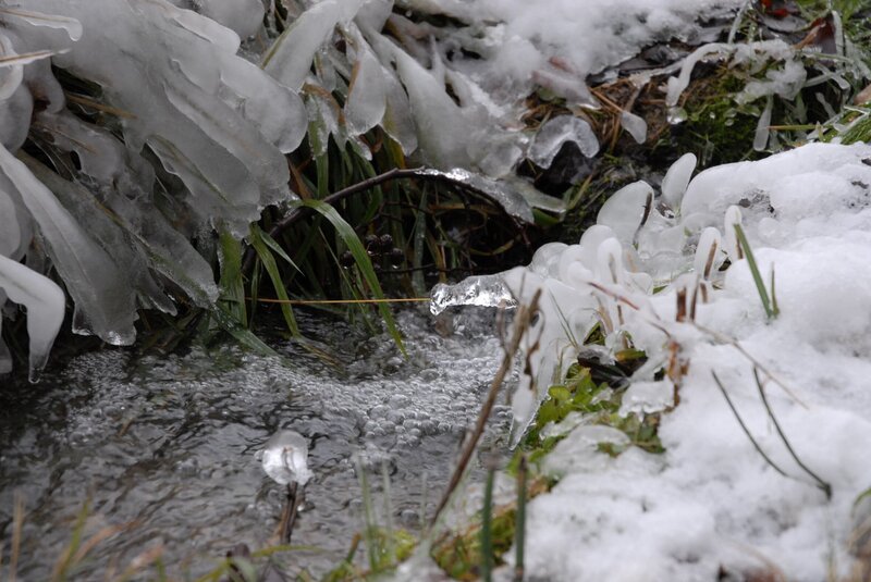 Hunderte von Wasserläufen und Bächen durchziehen den Eibenwald. Wenn es im Winter lange genug kalt ist, erstarrt der Wald vielerorts in ebenso bizarrer wie vergänglicher Eiskunst. – Bild: BR/​Kai Schubert