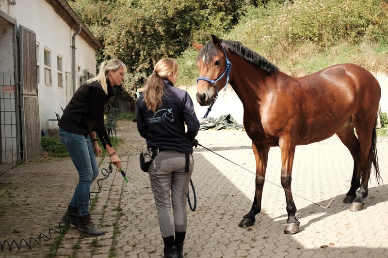Katja Schnabel (l.) und Jennifer – Bild: TVNOW /​ Mina TV