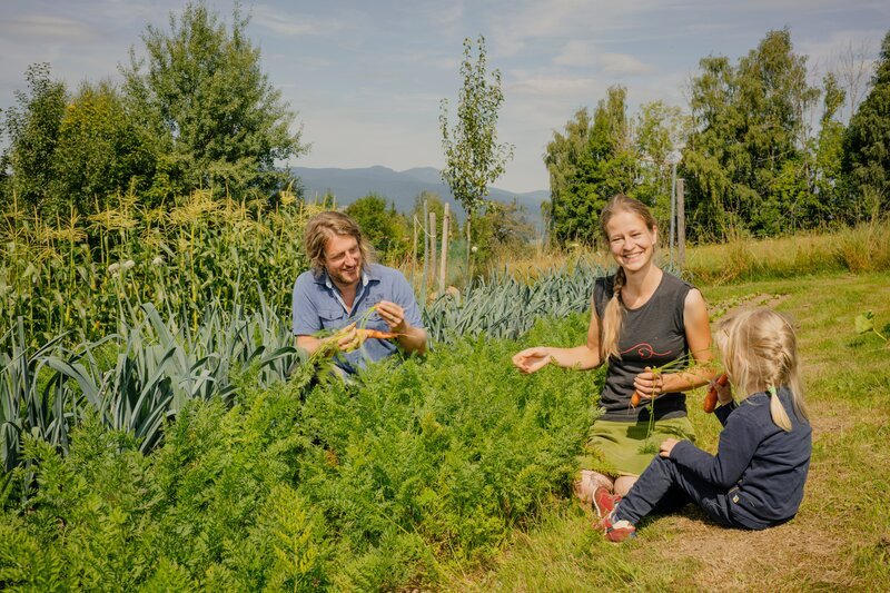 Auf ihrem Biohof Häng bei Frauenau im Bayerischen Wald bauen Martin und Birte Straub auf nur einem Hektar Land mehr als 50 Gemüse- und seltene Obstsorten an. – Bild: Amelie Sachs /​ BR /​ Isarflimmern Fernsehproduktion GmbH /​ cutflow GmbH