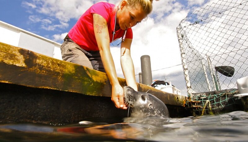 Biologin Jenny Ann Byl liebt die Arbeit mit Robben. – Bild: NDR/​5ǀ14 FILM