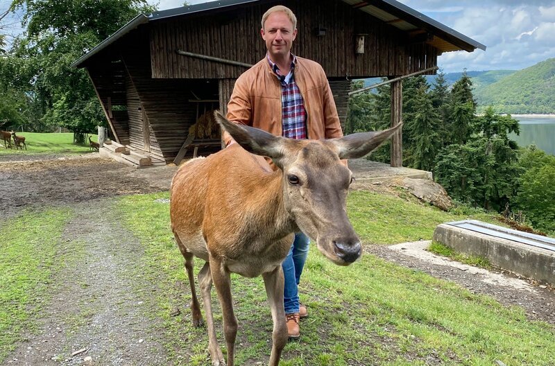 Tobias Kämmerer im WildtierPark Edersee mit Rothirschkuh Henriette. – Bild: HR/​Friso Richter