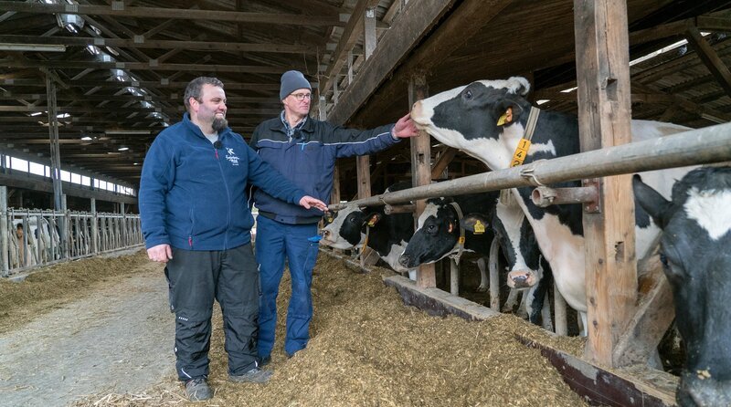 Soviel Zeit muss sein: Jürgen Schriefer guckt auch mal in den Stall bei seinen Kunden. – Bild: NDR / Hellwig Film GmbH Soviel Zeit muss sein: Jürgen Schriefer guckt auch mal in den Stall bei seinen Kunden. – Bild: NDR / Hellwig Film GmbH