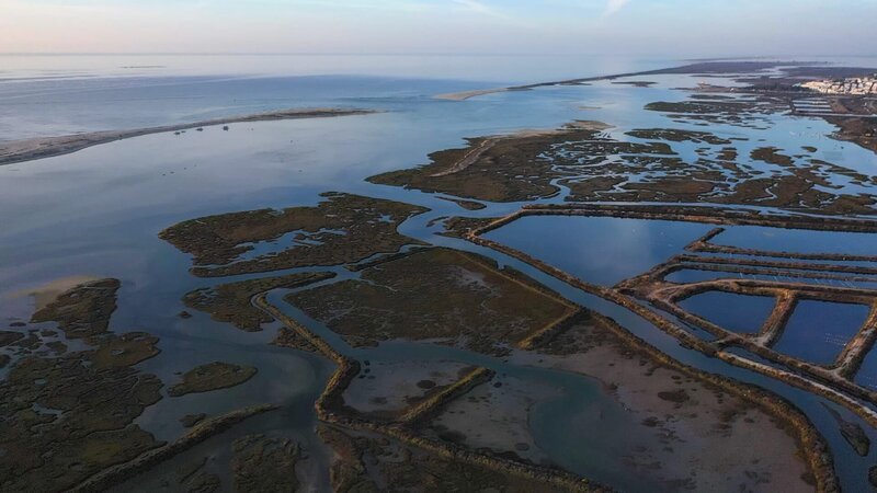Der Naturpark „Ria Formosa“ besteht aus einer Vielzahl von Habitaten … Das Gebiet erstreckt sich 60 Kilometer entlang der Küste der östlichen „Sand-Algarve“. – Bild: ZDF und Radio Bremen/​Kinescope