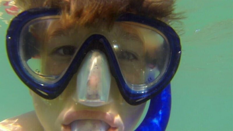 Patrick schnorchelt im Meer und entdeckt dabei ganz viele Fische. – Bild: WDR/​Die Sendung mit dem Elefanten