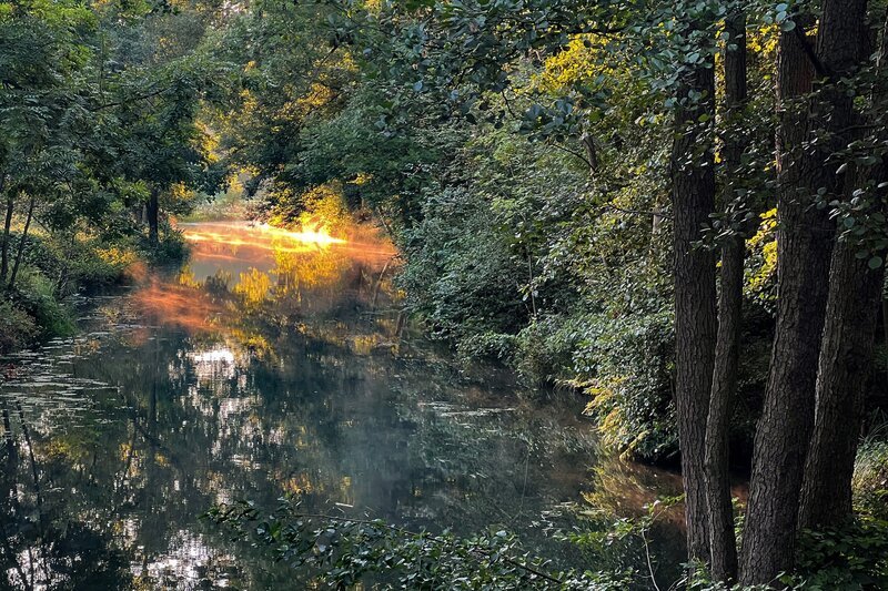 Morgenstimmung im Spreewald. – Bild: rbb/​Wolfgang Albus