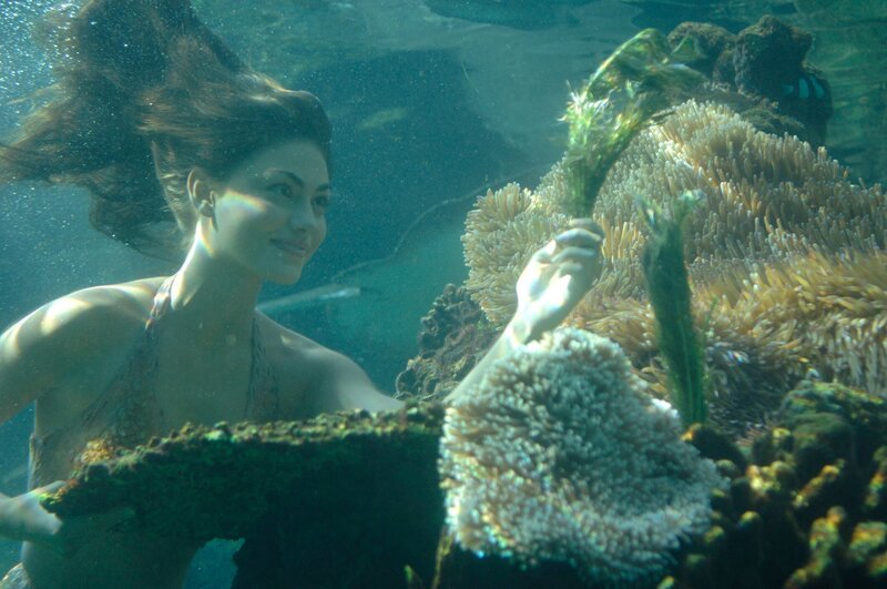 Cleo (Phoebe Tonkin) sucht nach Zutaten um die Zauberpaste herzustellen mit der die Meerjungfrauen angeblich Wünsche erfüllen können. – Bild: ZDF/​Jasin Boland u.a.