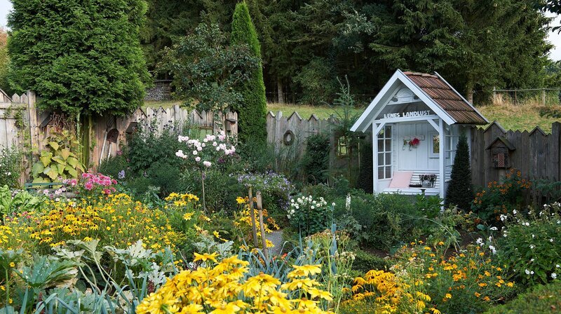 In der ersten Folge geht es in den Hochsauerlandkreis in einen romantischen Rosengarten nach Eslohe. Magdalenes Garten ist Lebenselexier und Passion. – Bild: WDR/​Melanie Grande