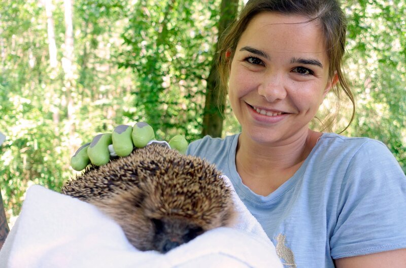 Igel Max war tagsüber im Garten unterwegs – ein sicheres Zeichen dafür, dass es ihm nicht gut geht. – Bild: BR/​TEXT + BILD Medienproduktion GmbH & Co. KG