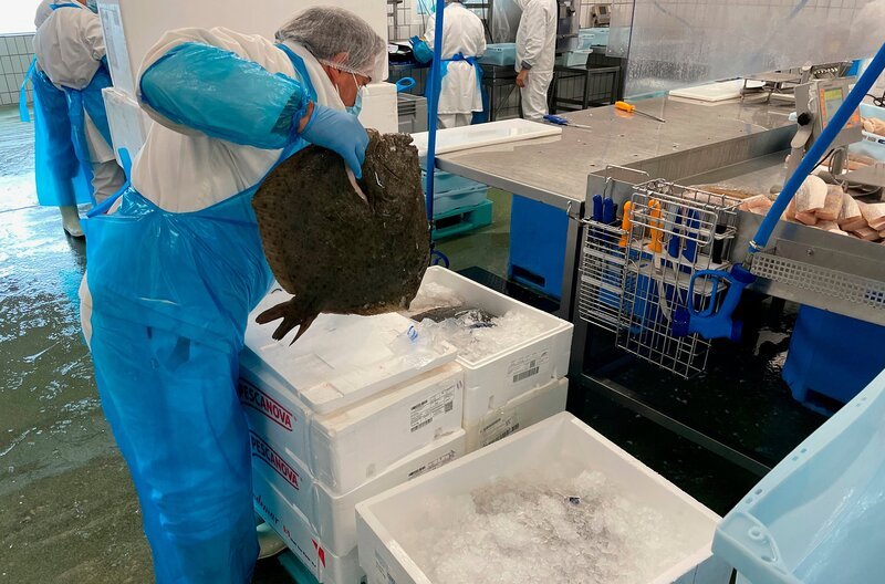 Um frischen Fisch auch frisch zu halten, benötigt die Deutsche See in Bremerhaven Unmengen an Eis. Dieses wird im größten Eiswerk Deutschlands extra für sie hergestellt. – Bild: NDR/LEMON8/Thorsten Schöntaube Um frischen Fisch auch frisch zu halten, benötigt die Deutsche See in Bremerhaven Unmengen an Eis. Dieses wird im größten Eiswerk Deutschlands extra für sie hergestellt. – Bild: NDR/LEMON8/Thorsten Schöntaube
