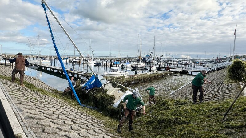 Aufräumen im Olympiahafen Kiel-Schilksee – Bild: NDR Aufräumen im Olympiahafen Kiel-Schilksee – Bild: NDR