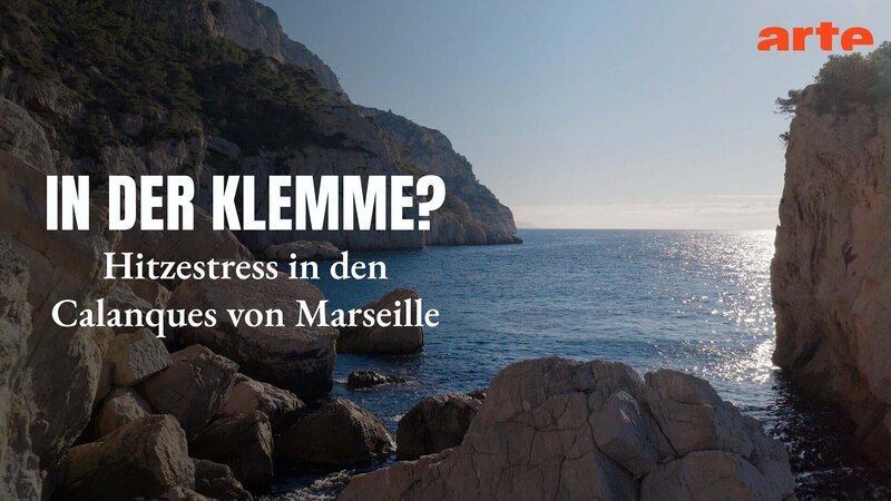  – Bild: Arte