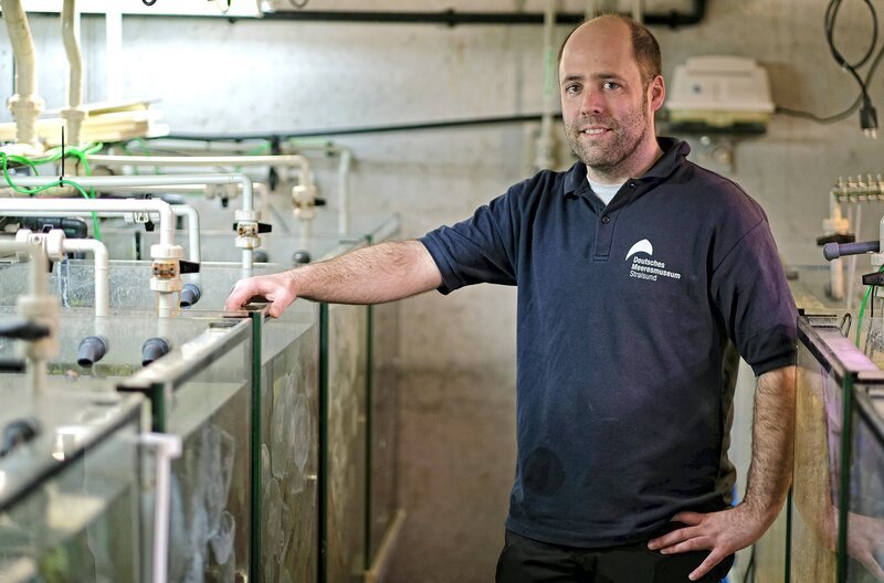Das Meer unter einem Dach: Das Ozeaneum in Stralsund. Der Quallenmann: Aquariumleiter Alexander von den Driesch. – Bild: NDR/​Clipfilm/​Matthias Ruuck
