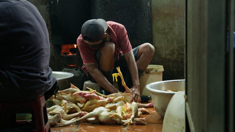 Ein Mann zerlegt Hühner auf einem Wildtiermarkt in Phnom Penh – Bild: Johannes Imdahl / BR, Broadview Pictures Ein Mann zerlegt Hühner auf einem Wildtiermarkt in Phnom Penh – Bild: Johannes Imdahl / BR, Broadview Pictures