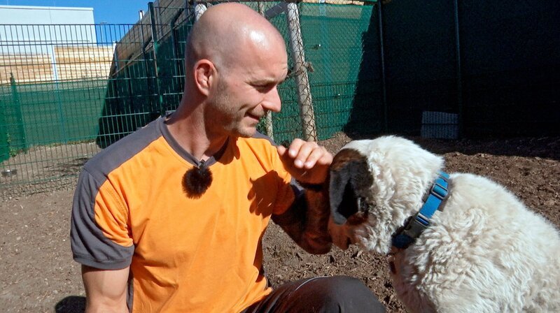 Florian Vogel, Leiter der Hundepension, mit einem seiner Schützlinge. In der Flughafen-Hundepension können Hundebesitzer ihre Tiere abgeben, bevor sie in den Flieger steigen. – Bild: HR