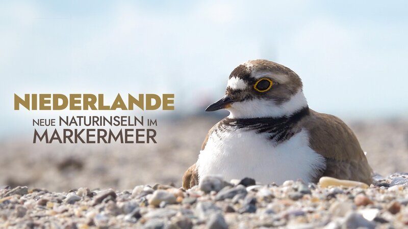 – Bild: RTL – Bild: RTL