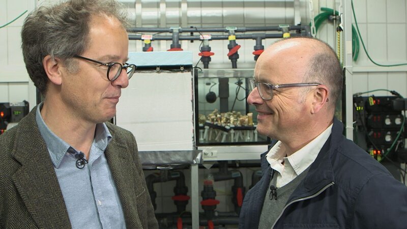 Kaltwasserkorallen vor der chilenischen Küste gehören zum Untersuchungsgebiet von Claudio Richter (links). Die Korallen sind gute Indikatoren für die weitreichenden Veränderungen, sagt der Meeresbiologe vom Alfred-Wegener-Institut für Polar- und Meeresforschung (AWI) in Bremerhaven. Rechts: Karsten Schwanke. – Bild: BR/​Maximilian Schecker /​ Maximilian Schecker