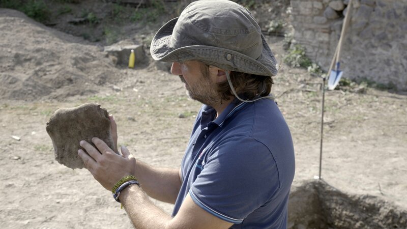 Der Archäologe Mario Grimaldi von der „Università degli Studi Suor Orsola Benincasa“ untersucht einen Ochsenschädel, der unter einer Straße in Pompeji gefunden wurde. – Bild: Annamaria Craparotta /​ National Geographic