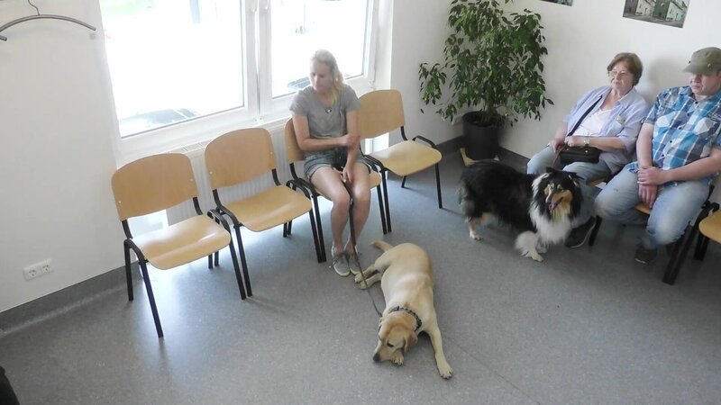 Bild: RTL