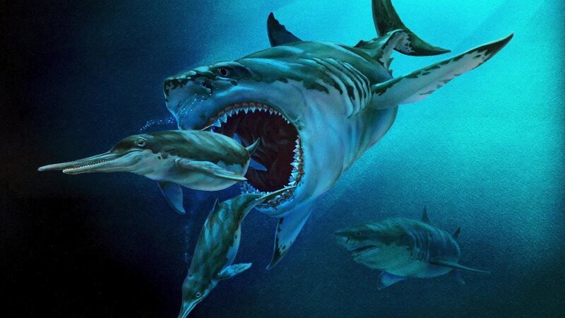 Dieses Kunstwerk zeigt einen Megalodon (Otodus megalodon), eine ausgestorbene Art des Makrelenhais, die vor etwa 15 bis 2,6 Millionen Jahren lebte. – Bild: CuriosityStream-Inc