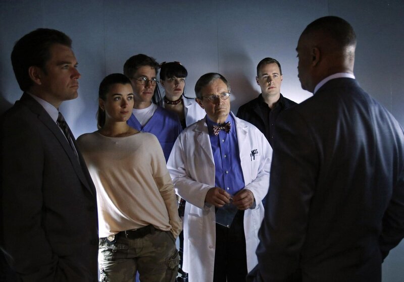 Ein neuer Fall wartet auf Tony (Michael Weatherly, l.), Ziva (Cote de Pablo, 2.v.l.), Jimmy (Brian Dietzen, 3.v.l.), Abby (Pauley Perrette, M.), Ducky (David McCallum, 3.v.r.), McGee (Sean Murray, 2.v.r.) und Vance (Rocky Carroll, r.) … – Bild: PLURIMEDIA (CBS Broadcasting Inc.)