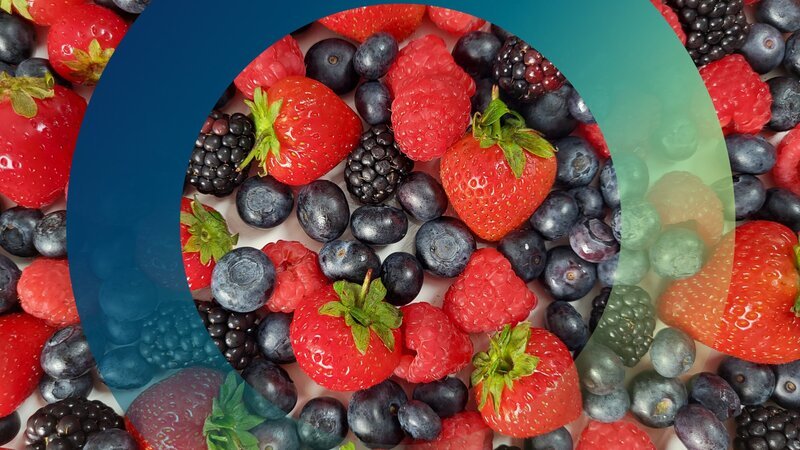 Beeren liegen gemischt auf einer weißen Fläche: Erdbeeren, Blaubeeren, Brombeeren und Himbeeren. – Bild: ZDF