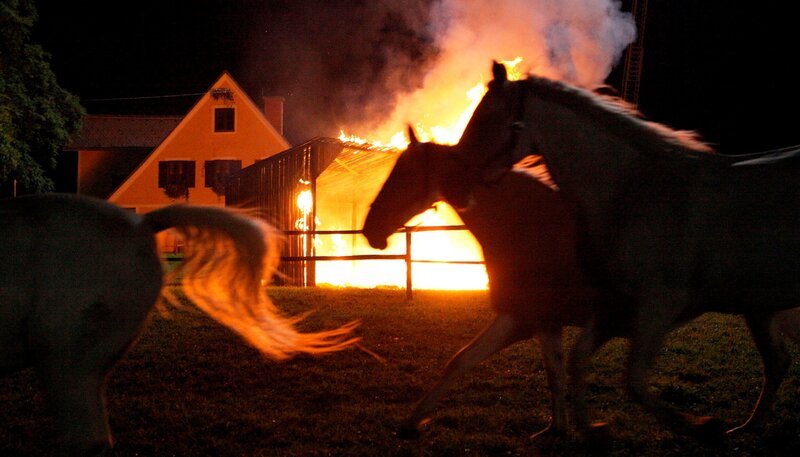 Auf der Stubalpe hat der Blitz eingeschlagen und gefährdet eine Herde Lipizzaner. Just in dieser gefährlichen Situation kommen sich Katharina und Michael sehr nahe. – Bild: ARD/​ORF/​Petro Domenigg