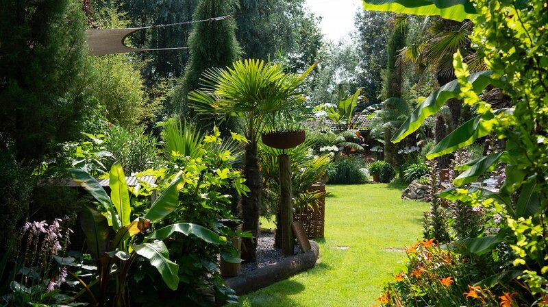 Palmen, Bananen und Bambus – das sind die Stars im Garten von Thomas Seggewiß aus dem Münsterland. Auf 5.000 Quadratmetern wachsen asiatische, afrikanische und südamerikanische Gewächse. – Bild: WDR/​Melanie Grande