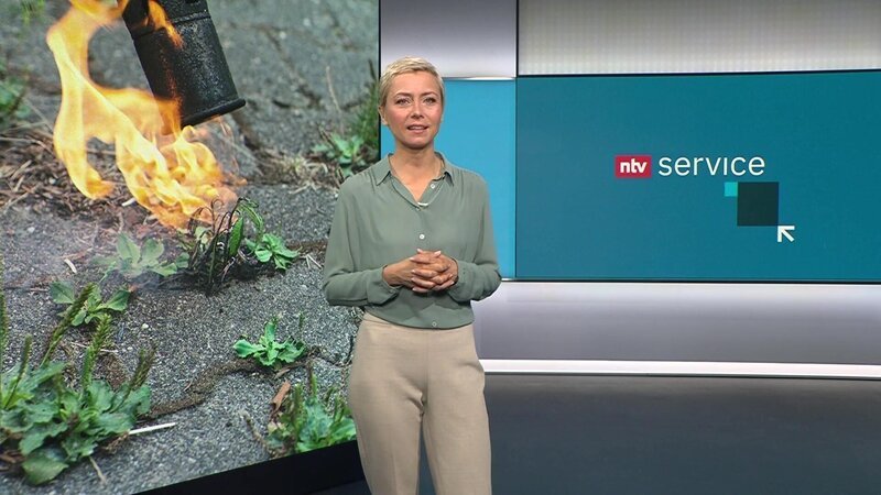 Bild: RTL