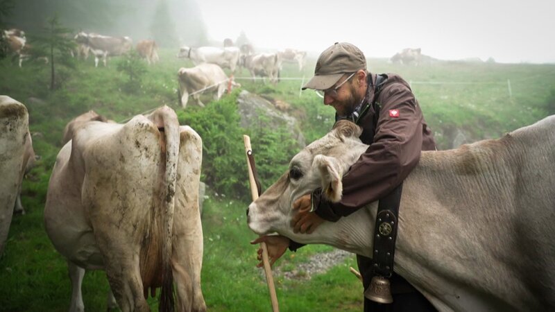 Axel Porath, Alp Grimsel – Bild: SRF